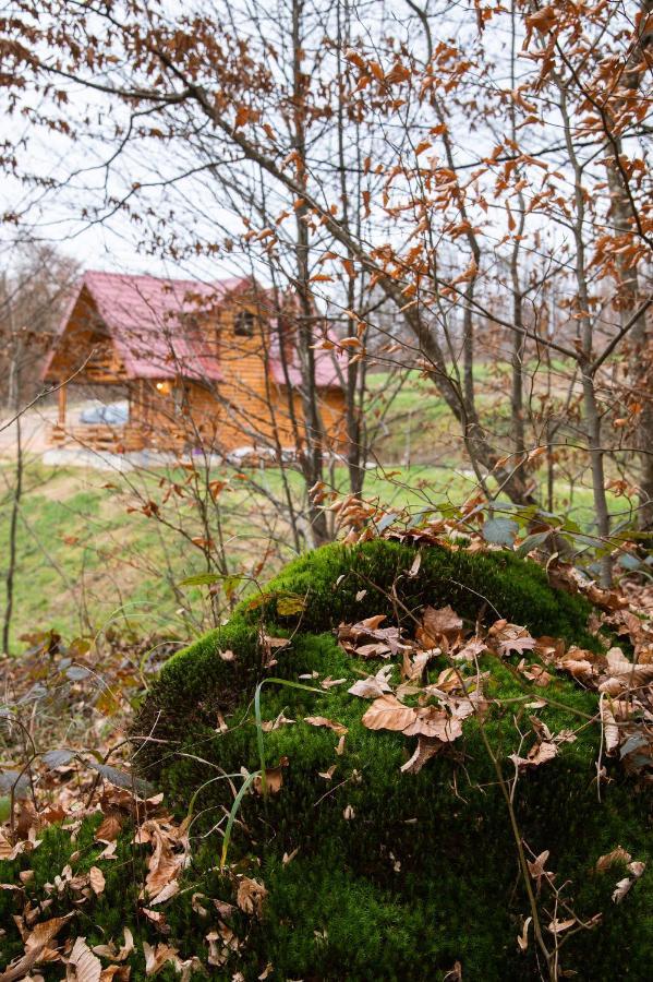 Brvnaria Villa Slatina Varoš Kültér fotó